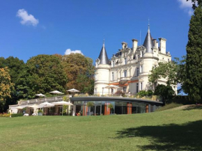 Domaine de la Tortinière, Montbazon